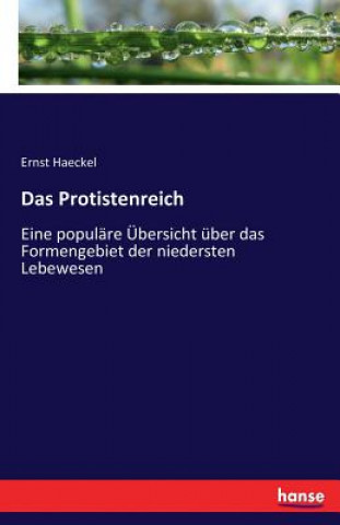 Carte Protistenreich Ernst Haeckel