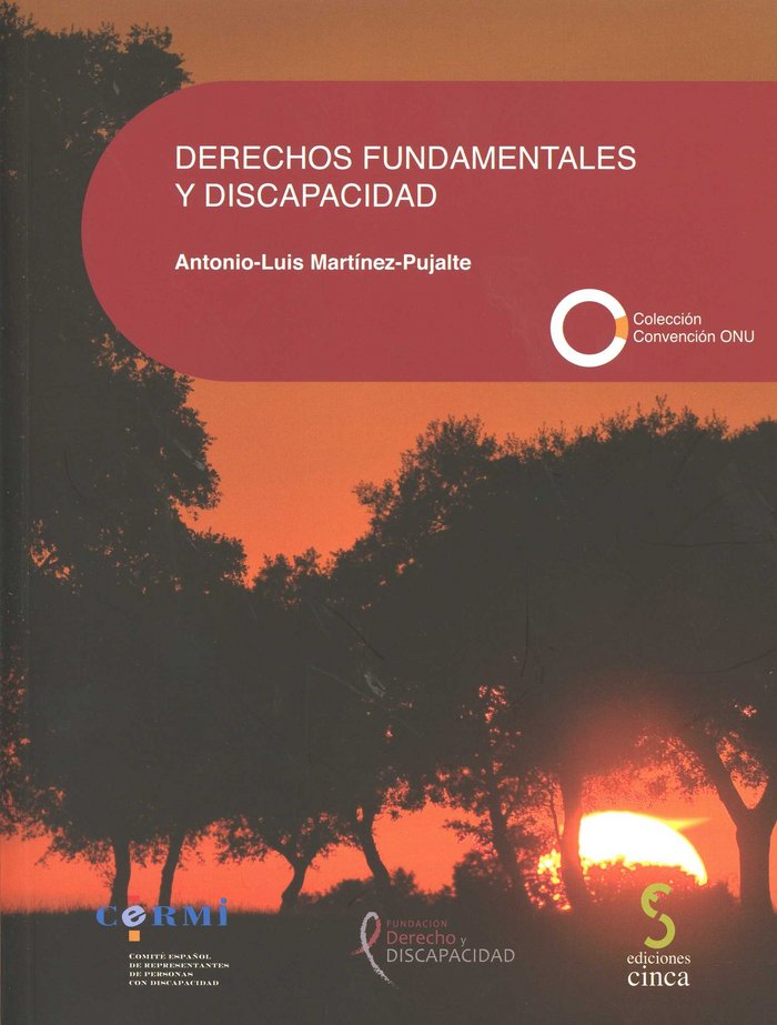 Книга Derechos fundamentales y discapacidad 