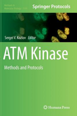Könyv ATM Kinase Sergei V. Kozlov
