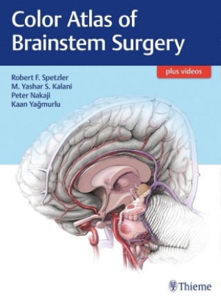 Book Color Atlas of Brainstem Surgery Robert F. Spetzler