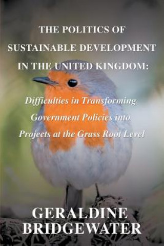 Kniha Politics of Sustainable Development in the United Kingdom Geraldine Bridgewater