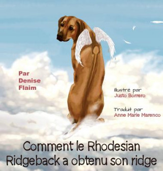 Kniha Comment le Rhodesian Ridgeback a obtenu son ridge Denise Flaim