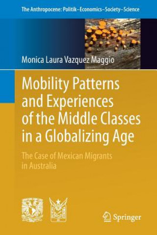 Carte Mobility Patterns and Experiences of the Middle Classes in a Globalizing Age Monica Laura Vazquez Maggio