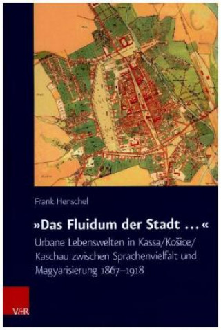 Kniha »Das Fluidum der Stadt ...« Frank Henschel