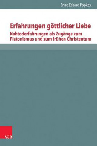 Könyv Erfahrungen göttlicher Liebe: Nahtoderfahrungen als Zugänge zum Platonismus und zum frühen Christentum Enno Edzard Popkes