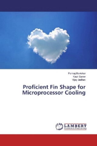 Kniha Proficient Fin Shape for Microprocessor Cooling Pankaj Baviskar