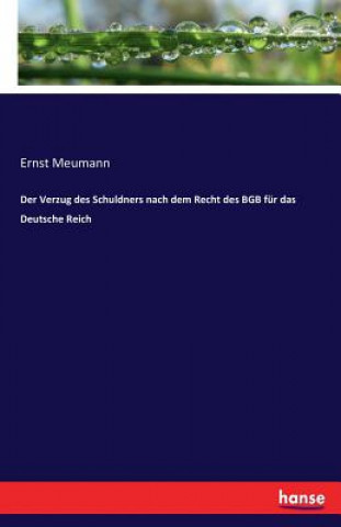 Carte Verzug des Schuldners nach dem Recht des BGB fur das Deutsche Reich Ernst Meumann