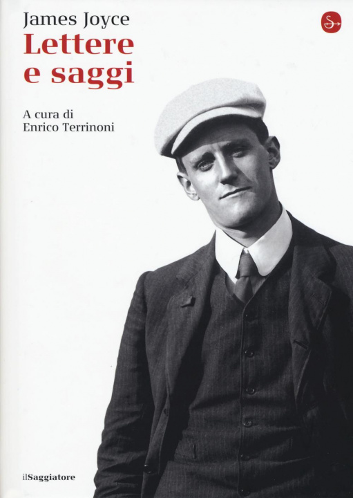 Boek Lettere e saggi James Joyce