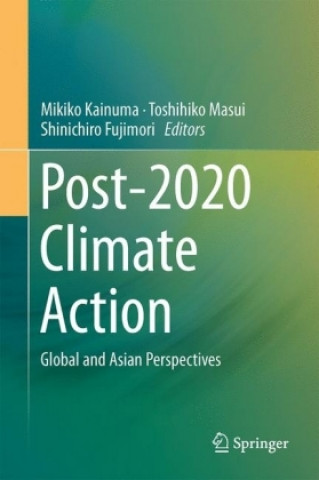 Buch Post-2020 Climate Action Mikiko Kainuma