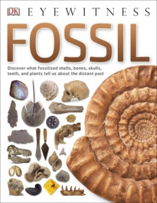 Βιβλίο Fossil DK