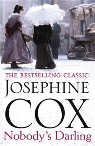 Knjiga Nobody's Darling Josephine Cox
