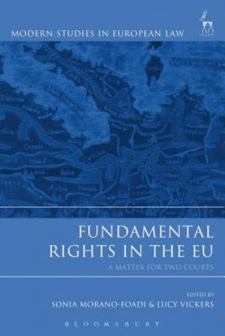 Könyv Fundamental Rights in the EU 