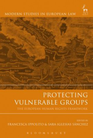 Könyv Protecting Vulnerable Groups 