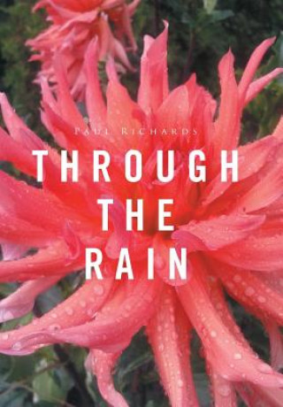 Boek Through the Rain Paul Richards