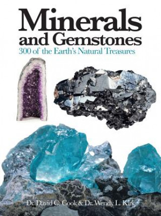 Könyv Minerals and Gemstones David C Cook