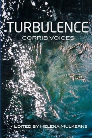 Boek Turbulence Various Artists