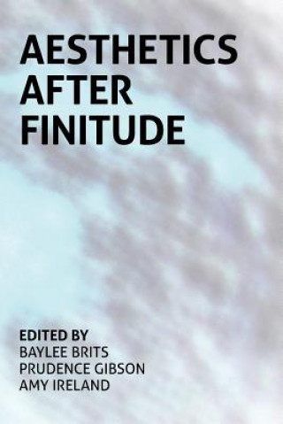 Βιβλίο Aesthetics After Finitude Baylee Brits