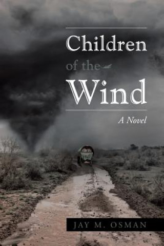 Книга Children of the Wind Jay Osman