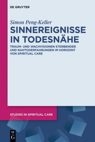 Buch Sinnereignisse in Todesnahe Simon Peng-Keller