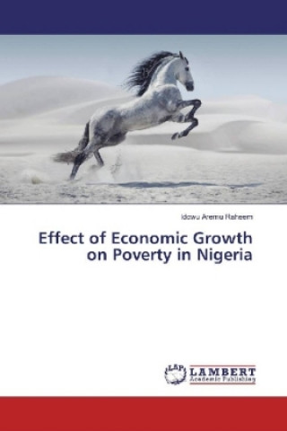 Kniha Effect of Economic Growth on Poverty in Nigeria Idowu Aremu Raheem