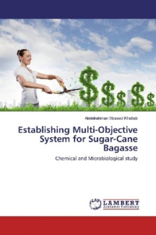 Kniha Establishing Multi-Objective System for Sugar-Cane Bagasse Abdelrahman Mosaad Khattab