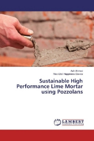 Kniha Sustainable High Performance Lime Mortar using Pozzolans Ash Ahmed