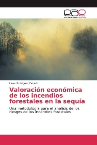 Könyv Valoración económica de los incendios forestales en la sequía Liuva Rodríguez Ceballo