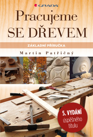 Book Pracujeme se dřevem Martin Patřičný