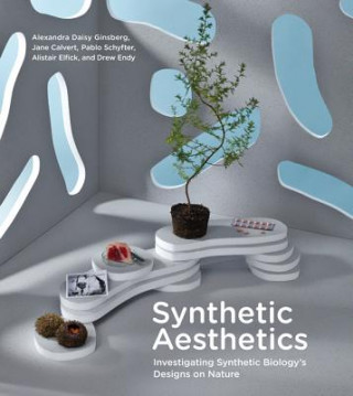 Könyv Synthetic Aesthetics Alexandra Daisy Ginsberg