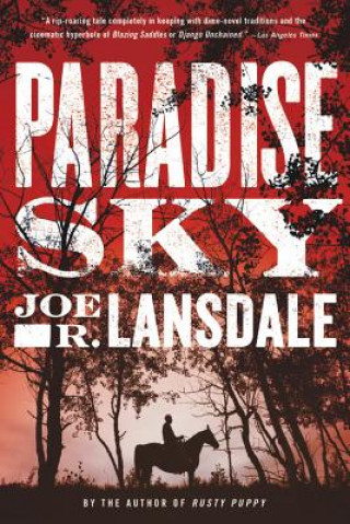 Kniha Paradise Sky Joe R. Lansdale