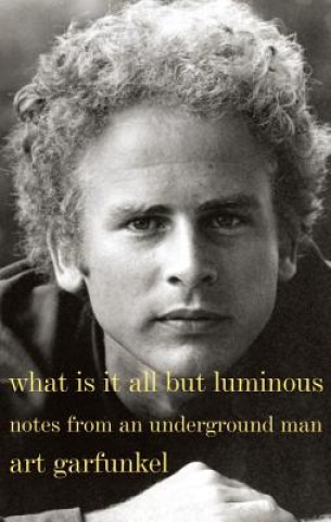 Carte What Is It All but Luminous Art Garfunkel