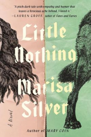 Книга Little Nothing Marisa Silver
