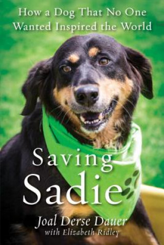 Kniha Saving Sadie Joal Derse Dauer