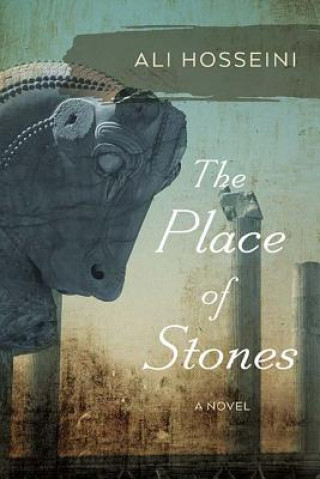 Buch Place of Stones Ali Hosseini