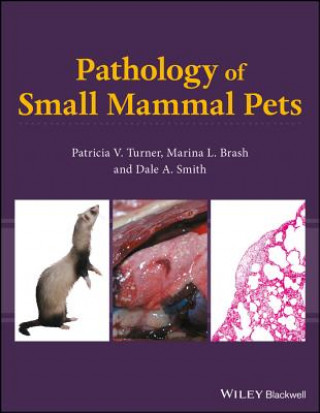 Kniha Pathology of Small Mammal Pets Patricia V. Turner