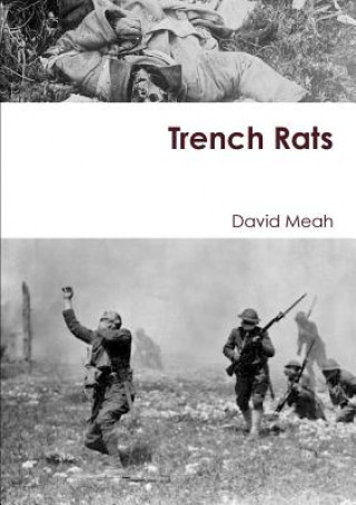 Könyv Trench Rats David Meah
