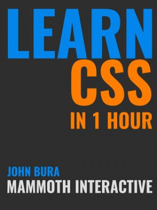Könyv Learn CSS in 1 Hour John Bura