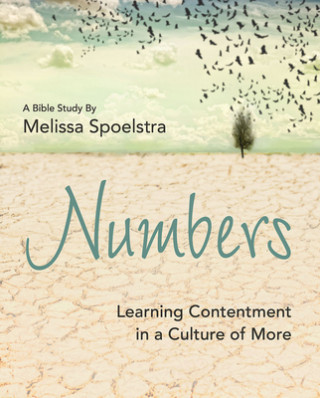 Kniha Numbers - Women's Bible Study Participant Workbook Melissa Spoelstra