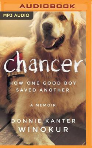 Digital Chancer: How One Good Boy Saved Another Donnie Kanter Winokur