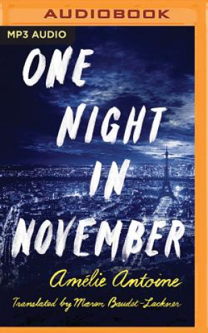 Digital One Night in November Amelie Antoine