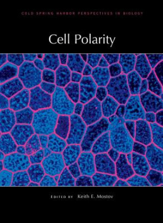 Carte Cell Polarity Keith E. Mostov