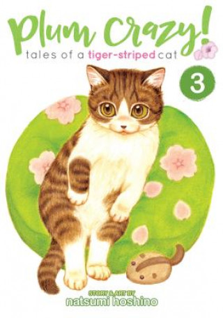 Kniha Plum Crazy! Tales of a Tiger-Striped Cat Vol. 3 Hoshino Natsumi