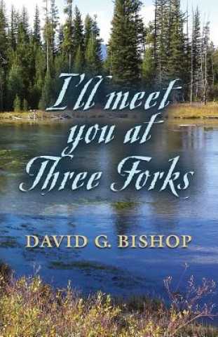 Könyv I'll Meet You at Three Forks David G. Bishop