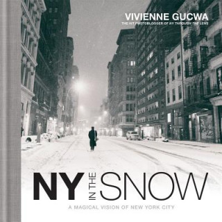 Carte New York in the Snow Vivienne Gucwa