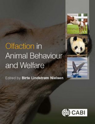 Könyv Olfaction in Animal Behaviour and Welfare B. L. Nielsen