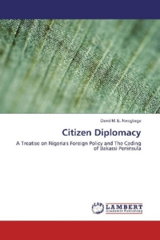 Книга Citizen Diplomacy David M. E. Nwogbaga