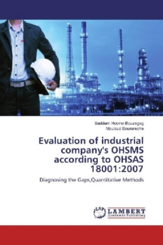 Книга Evaluation of industrial company's OHSMS according to OHSAS 18001:2007 Saddam Hocine Bouzegag