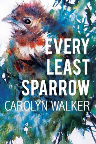 Buch Every Least Sparrow Carolyn Walker