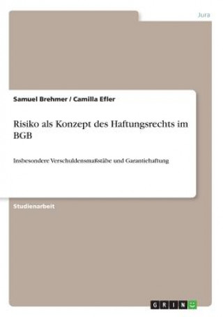 Carte Risiko als Konzept des Haftungsrechts im BGB Samuel Brehmer