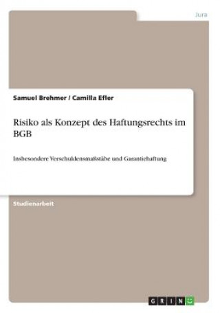 Knjiga Risiko als Konzept des Haftungsrechts im BGB Samuel Brehmer